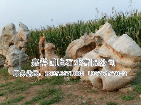 點擊查看詳細(xì)信息<br>標(biāo)題：自然奇石 閱讀次數(shù)：2062
