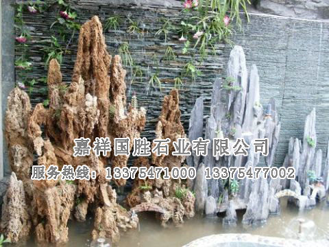 點擊查看詳細信息<br>標題：假山 閱讀次數(shù)：2604