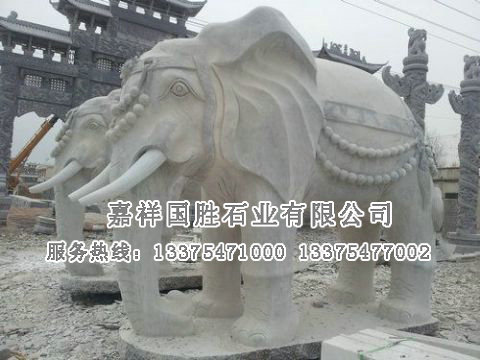 點(diǎn)擊查看詳細(xì)信息<br>標(biāo)題：大象 閱讀次數(shù)：2706
