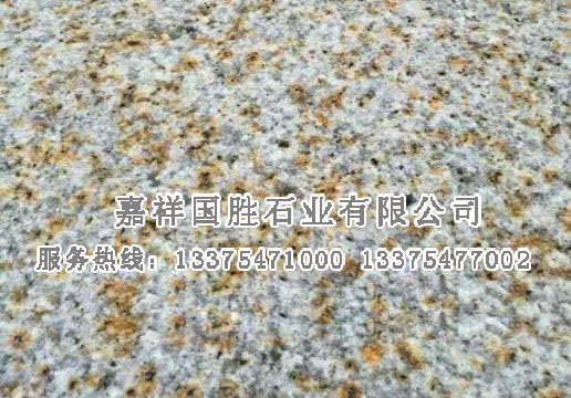 點擊查看詳細信息<br>標題：黃銹石滿天星 閱讀次數(shù)：2053